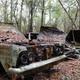 Illustration for article titled GHOST CARS ROTTING IN THE MISSISSIPPI SWAMP